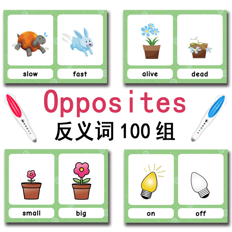 100가지 반대되는 단어 플래시 카드 영어 어휘 카드  - Kid Educational 리뷰 및 가격